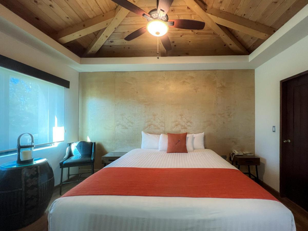 Bottega Hotel Boutique Валье-де-Гуадалупе Номер фото